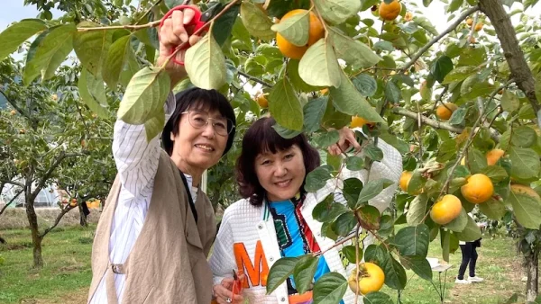 【秋の親睦旅行】遠賀美容組合のみなさんと柿狩りへ行ってきました♪